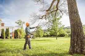 Best Soil Testing and Treatment  in Orem, UT