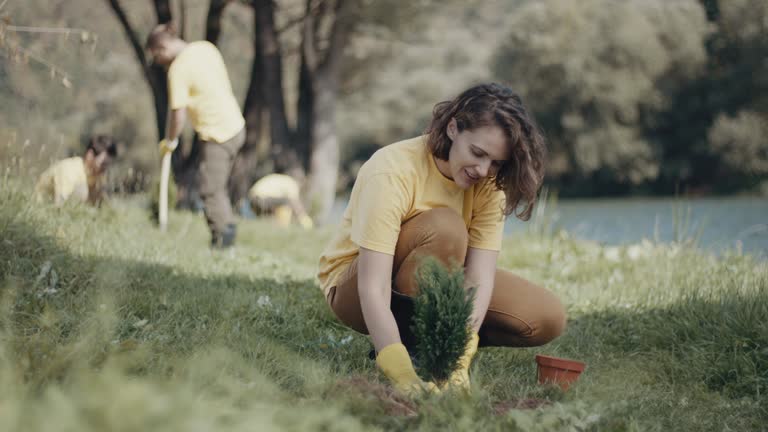 Best Tree Preservation Services  in Orem, UT